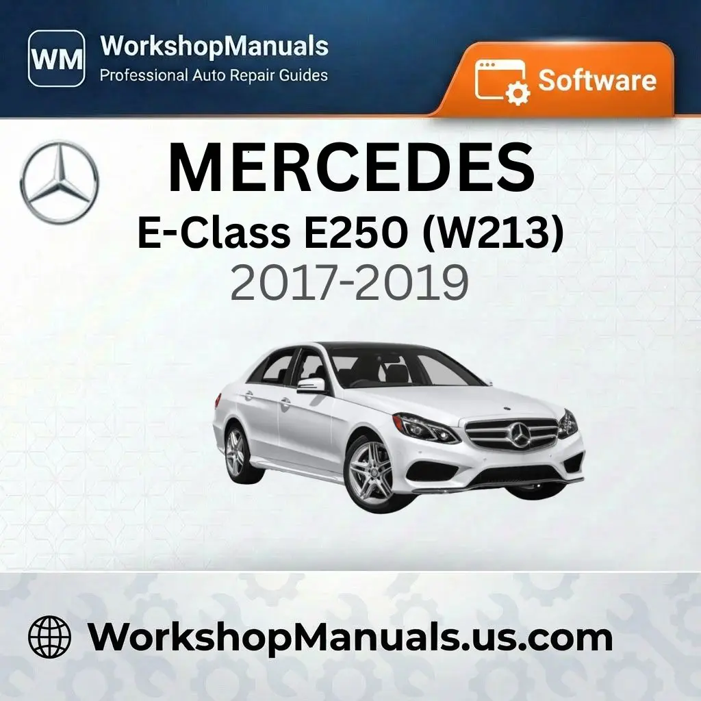 Mercedes E-Class E250 (W213) Workshop Manual Software 2017-2019
