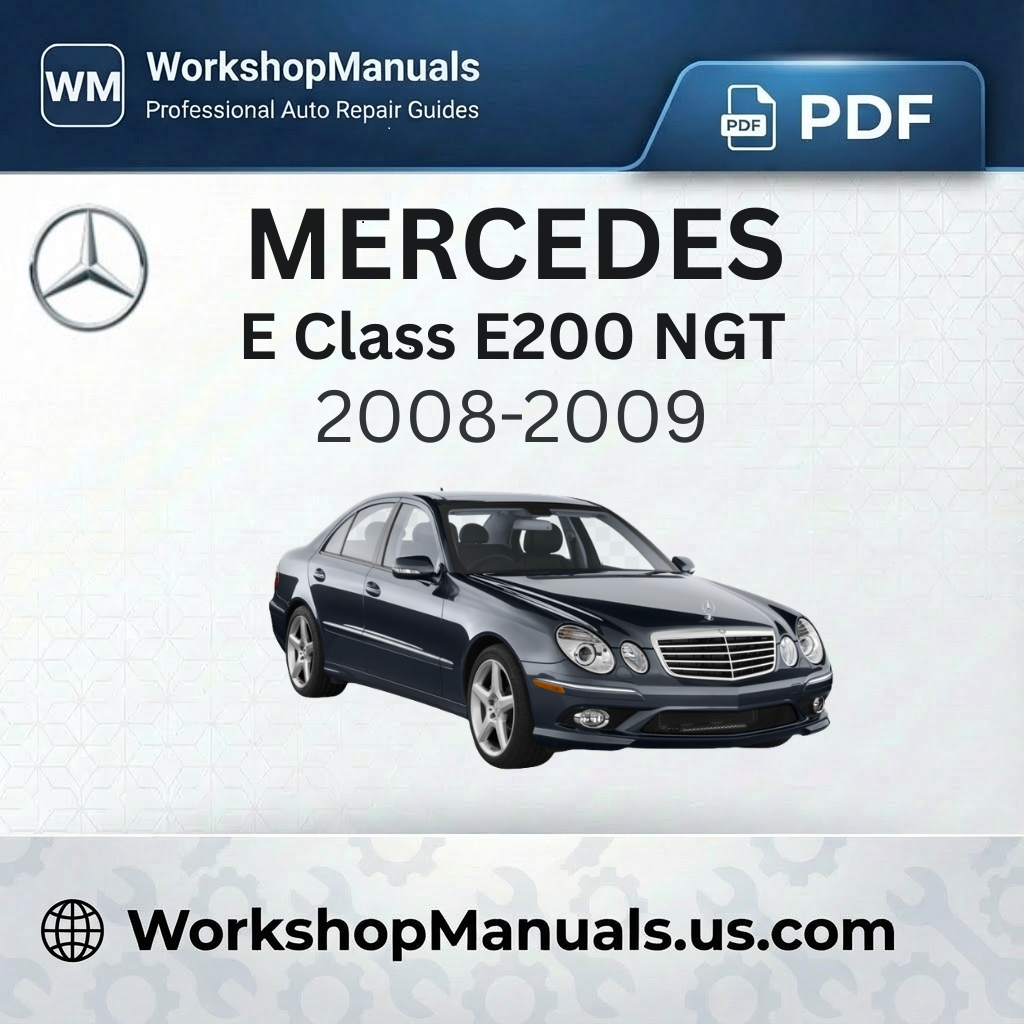 Mercedes E Class E200 NGT BlueEfficiency Workshop Manual (2008-2009)